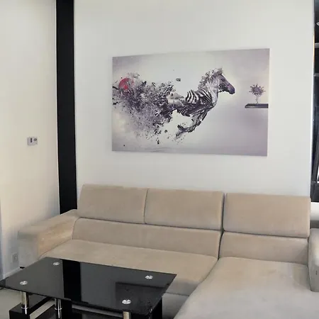 Apartment 150 Metres To Ploscha Rynok